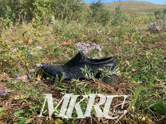 Двое мужчин пропали в лесах Забайкалья при сборе кедрового ореха