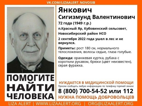 Пенсионер из Новосибирской области ушел в лес и не вернулся