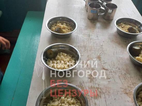 Нижегородцев возмутил завтрак в Шахунской школе
