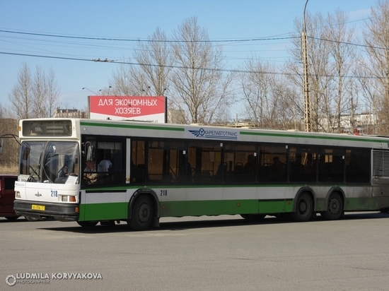 Минтранс Карелии запустил новый рейс из-за подтопленной дороги