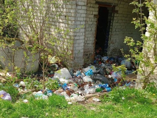 В Починке стало одной свалкой меньше