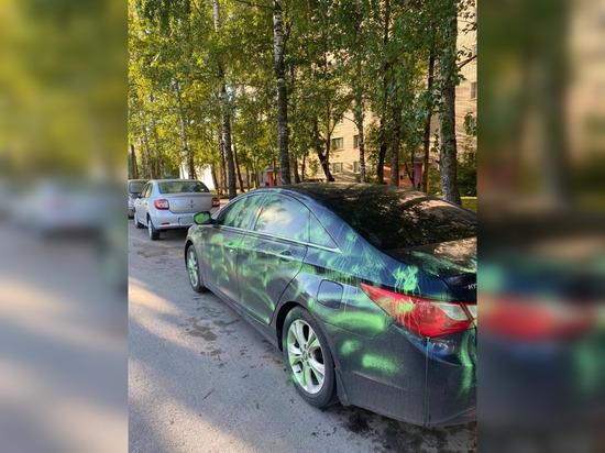 Неизвестный разрисовал три автомобиля зеленой краской в Великом Новгороде