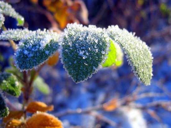 В Кировскую область придут первые заморозки