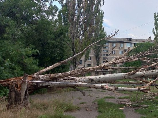 В центре Донецка дерево упало на балкон дома