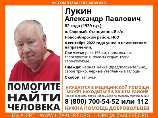 Пропавшего в Новосибирске 82-летнего пенсионера видели на Северном объезде