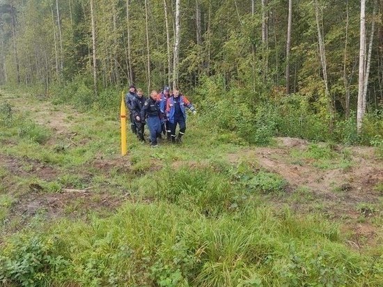Женщину с переохлаждением на носилках вынесли из леса около поселка Дубровка