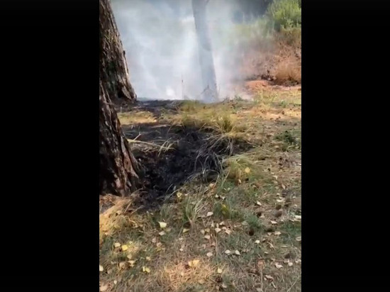 В Омской области у озера-курорта произошёл пожар