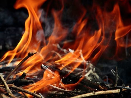 Лесные пожары начались в пригородах Тбилиси