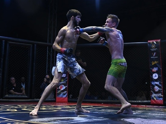 В Тамбове состоялся Международный турнир по смешанным боевым единоборствам MMA