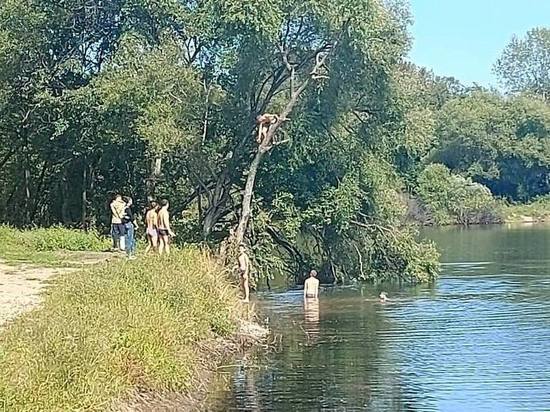 Подростки продолжают купальный сезон в Биробиджане