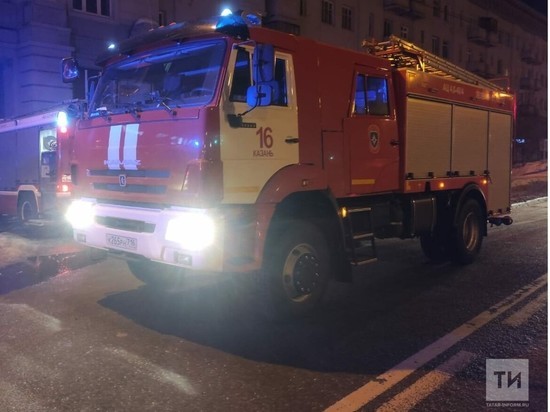 Кошка погибла, собака и хозяин квартиры сильно пострадали на пожаре в Казани