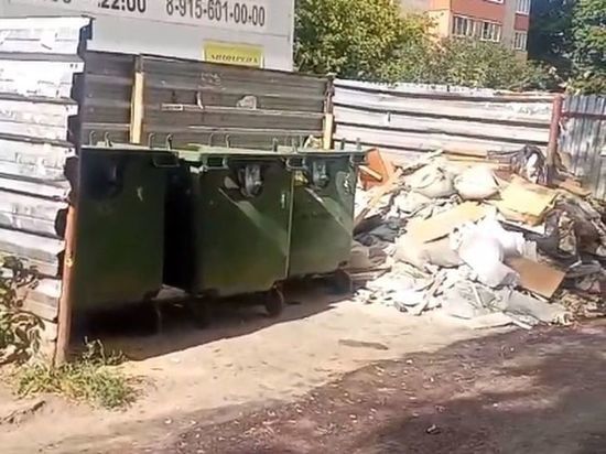 Жители улицы Гагарина в Рязани рассказали о нашествии крыс