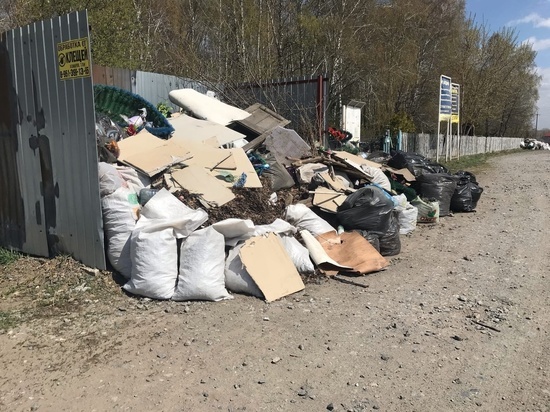 Пять экологических акций по очистке берегов водоёмов проведут в Новосибирске