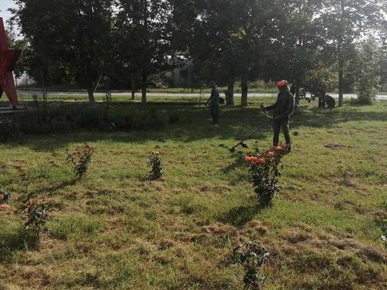 Дополнительные 2 млн рублей помогут Симферополю в борьбе с амброзией