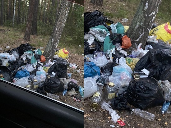 «Земля в бумаге и экскрементах»: горы мусора от туристов возмутили жителей новосибирской деревни