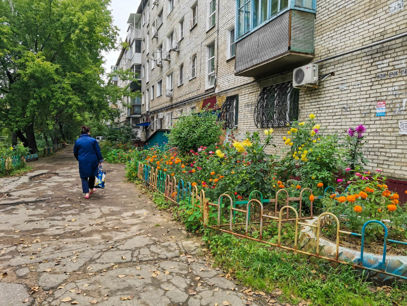 Авиагородок в Хабаровске: фото старых дворов и зеленого изобилия