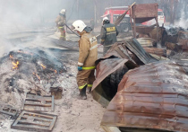 Целое село выгорело в Костанайской области Казахстана из-за внезапно вспыхнувших лесных пожаров