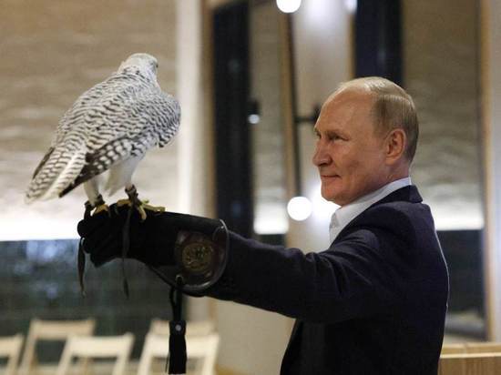 Камчатский кречет сел на руку Владимиру Путину