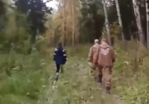 Уже третьи сутки в Кузбассе ищут 63-летнюю женщину и ее 10-летнего внука, которые отправились в тайгу по грибы — и пропали