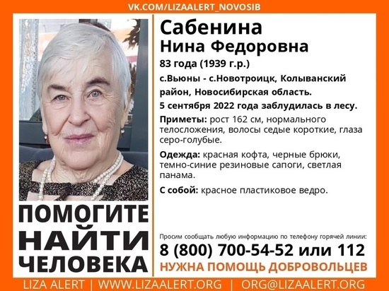 83-летняя пенсионерка в светлой панаме заблудилась в лесу под Новосибирском