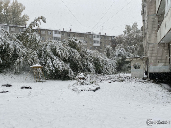 Синоптики предупредили кузбассовцев о возможном выпадении снега в конце сентября