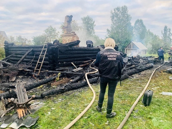 Пенсионер погиб на пожаре в Маловишерском районе