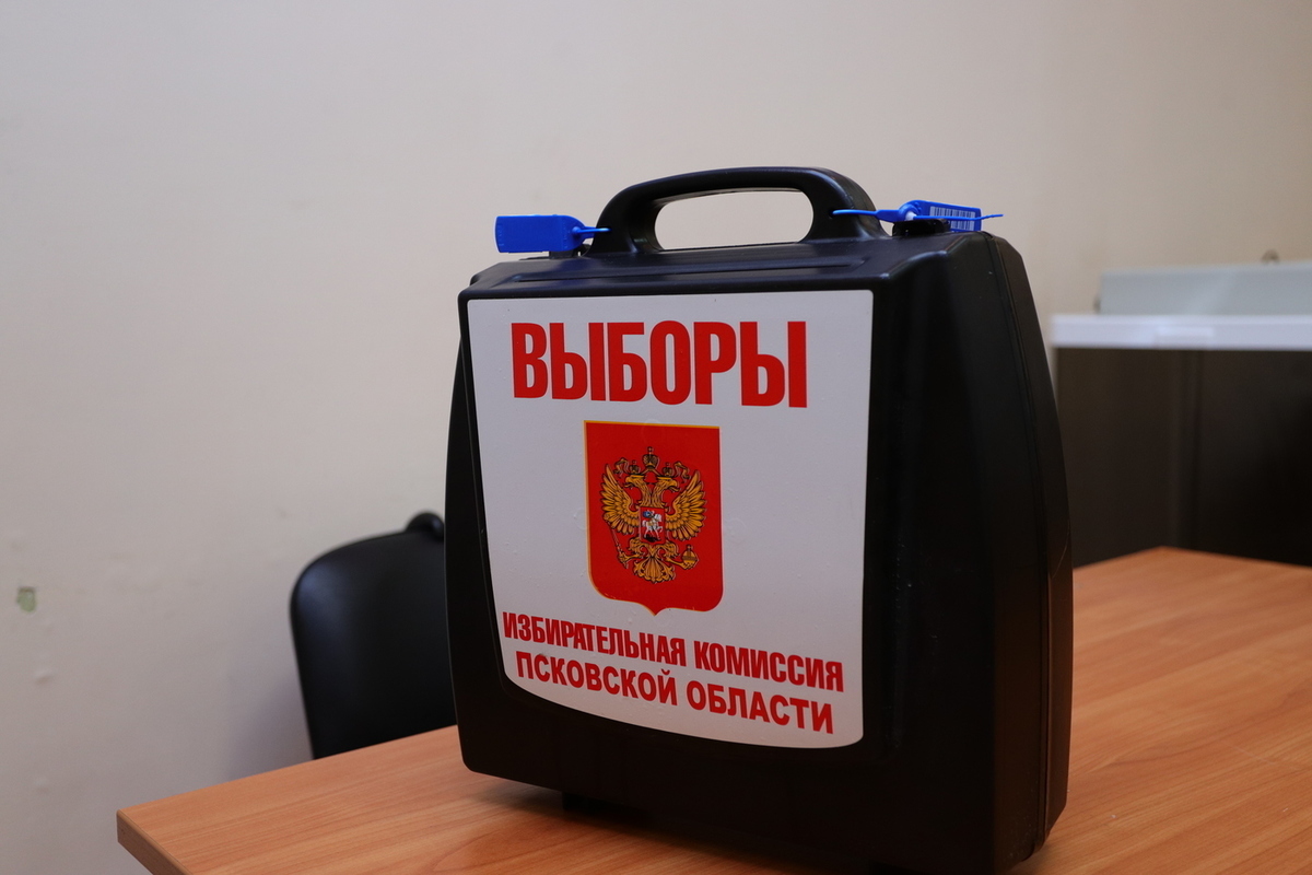 Выборы раз в. Выборы.