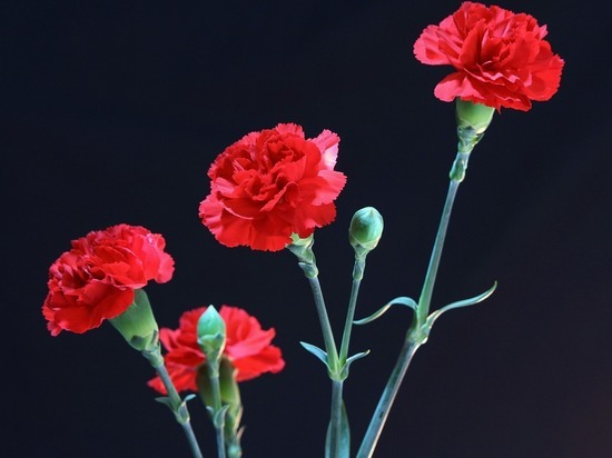 Юные смоляне могут принять участие в конкурсе, посвященном памяти жертв войн современности