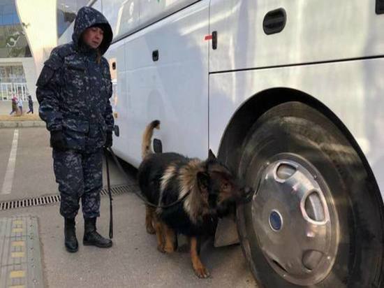 В Красноярском крае задержали двух любителей минировать жилые дома и сеять панику