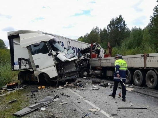 Погиб водитель грузовика после лобового столкновения на свердловской трассе