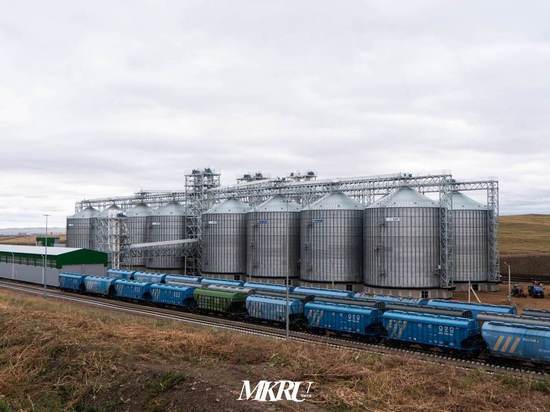 Путин дал старт работе Забайкальского зернового терминала