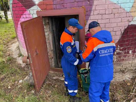 Спасатели начали искать источник зловонного запаха в Гатчине в канализации