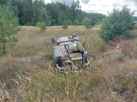 На трассе в Орловской области перевернулся автомобиль