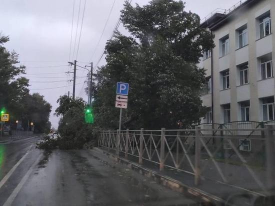 Оперативные службы Южно-Сахалинска перевели в режим повышенной готовности из-за циклона