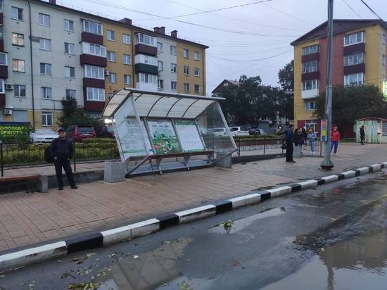 Мощный ветер повалил деревья и автобусные остановки в Южно-Сахалинске