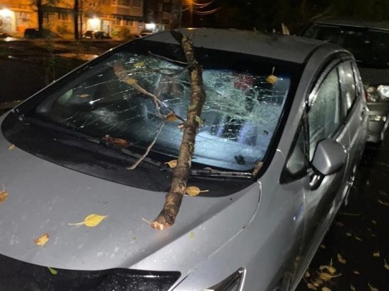 В Хабаровске упавшие деревья повредили машины