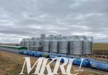 Первый в мире специализированный сухопутный зерновой терминал полного цикла в посёлке Забайкальске будет ежегодно приносить бюджету края налоги в размере 7 млрд рублей