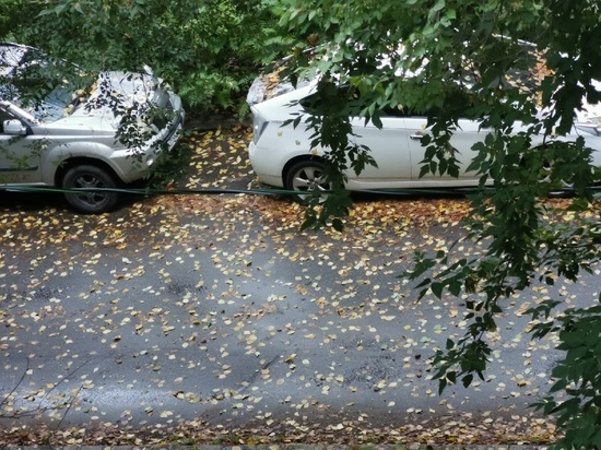 Мэрия Хабаровска опубликовала номера телефонов экстренных служб в связи с непогодой