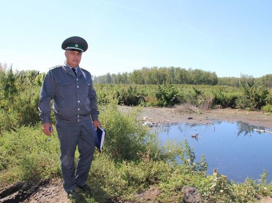 На юге Омской области Россельхознадзор выявил нелегальные карьеры для слива отходов