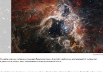 Туманность Тарантул, расположенная на расстоянии 161 000 световых лет от Земли в галактике Большое Магелланово Облако, — это самая большая и яркая область звездообразования, ближайшая к Млечному Пути