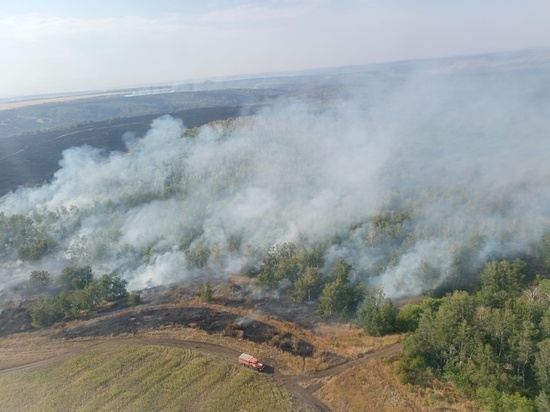 В начале осени в Оренбургской области сразу в нескольких территориях возникли природные пожары
