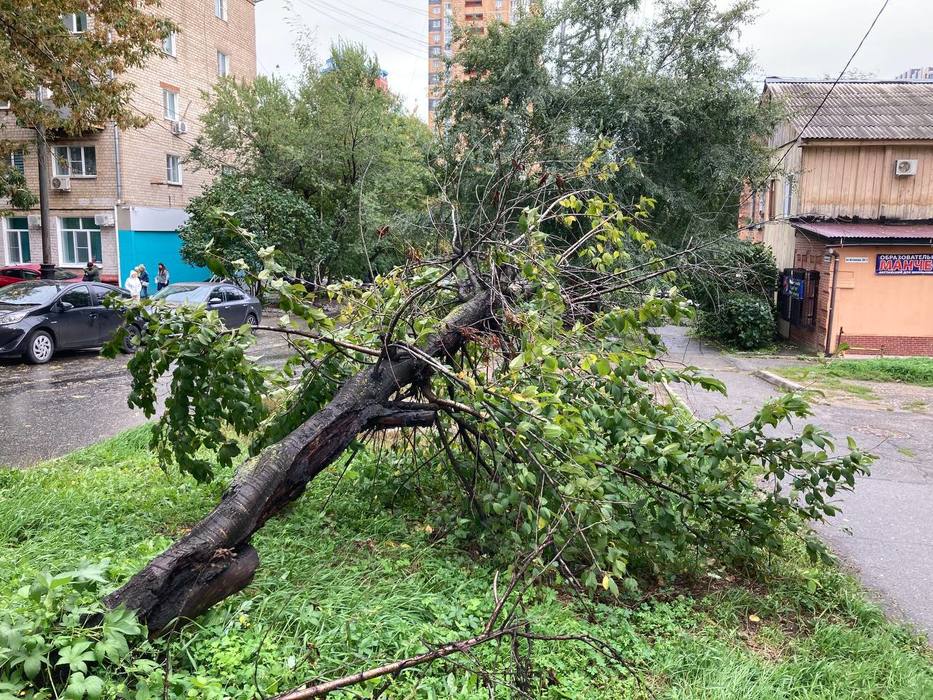 Что натворил тайфун Hinnamnor в Хабаровске и крае: фото