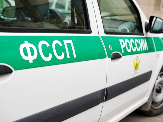 Новосибирец выплатил более 1 млн рублей долга по алиментам после беседы с приставами