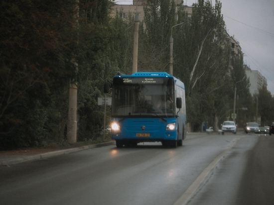 «Реальная стоимость проезда составляет 55 рублей»: стала известна причина поднятия цен на проезд в синих автобусах
