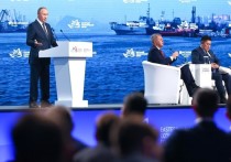 Развитие Дальнего Востока стало одной из тем, затронутых президентом России Владимиром Путиным на заседании Восточного экономического форума во Владивостоке