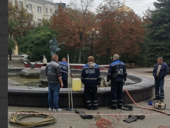 Фонтан «Мальчик с гусями» в Белгороде решили очистить после праздников
