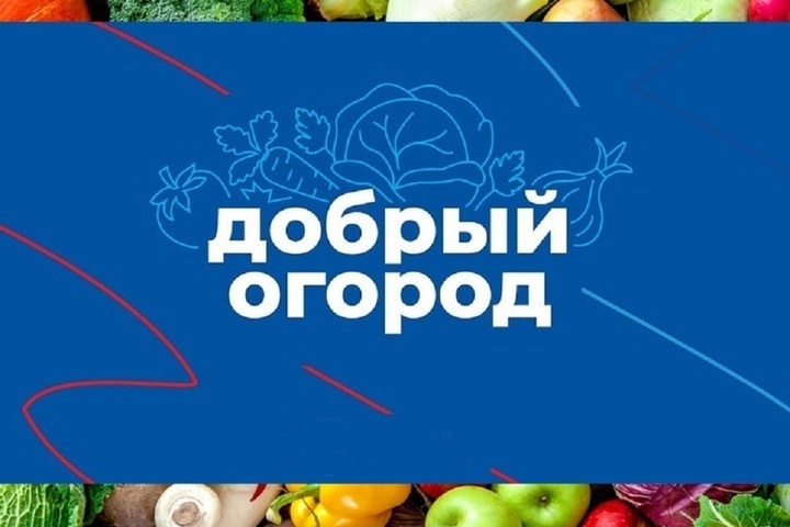 Жители Костромской области могут стать агроволонтерами и принять участие в конкурсе «Добрый огород»