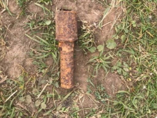В Погарском районе Брянщины обезвредили гранату