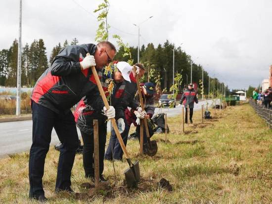110 саженцев деревьев высадили представители УГМК в Ревде