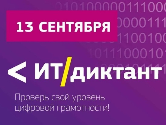 Костромичам предлагают пройти тестирование на владение цифровыми навыками